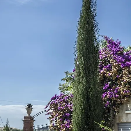 Bed & Breakfast La Dimora Di Samu Enna