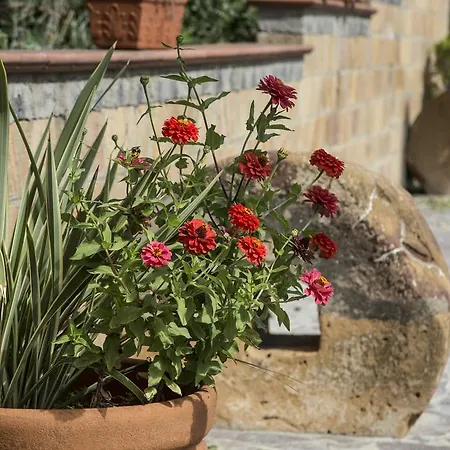 Bed & Breakfast La Dimora Di Samu